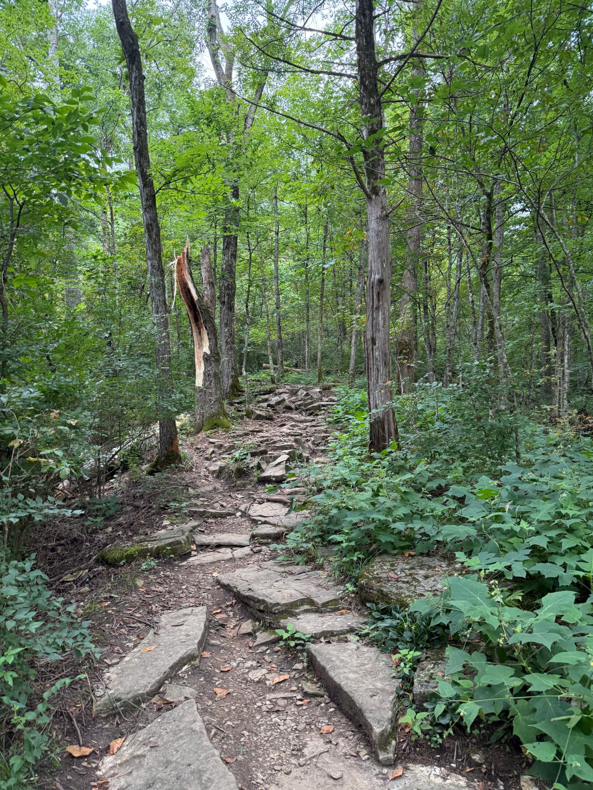 rocky steps trail